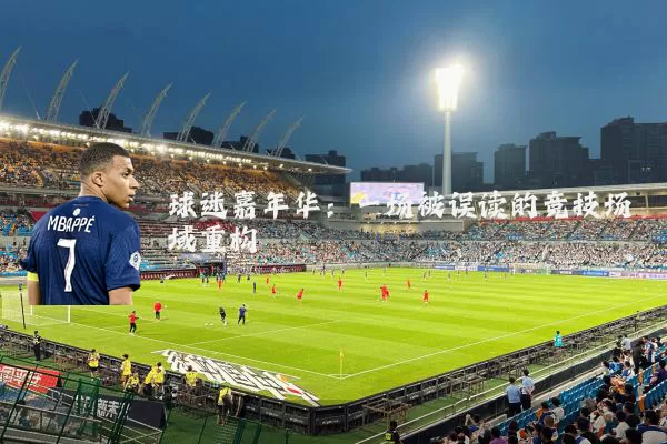 球迷嘉年华:一场被误读的竞技场域重构